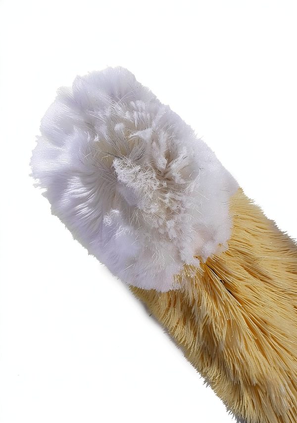 Bambaw Bottle Brushes Stainless Steel Reusable Eco Friendly-4