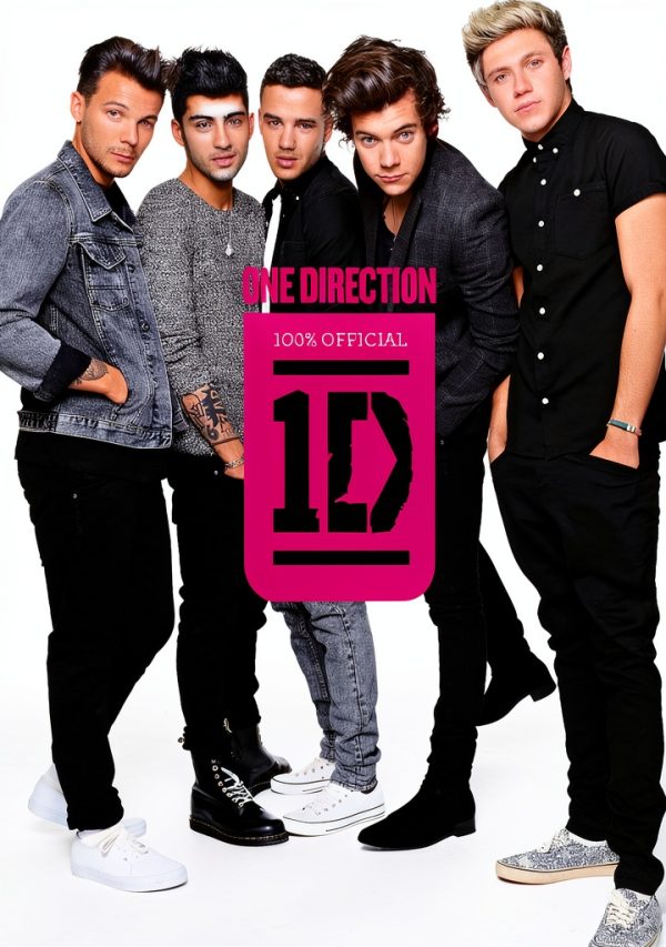 One Direction Book Series Children Music Biography Kindle-0